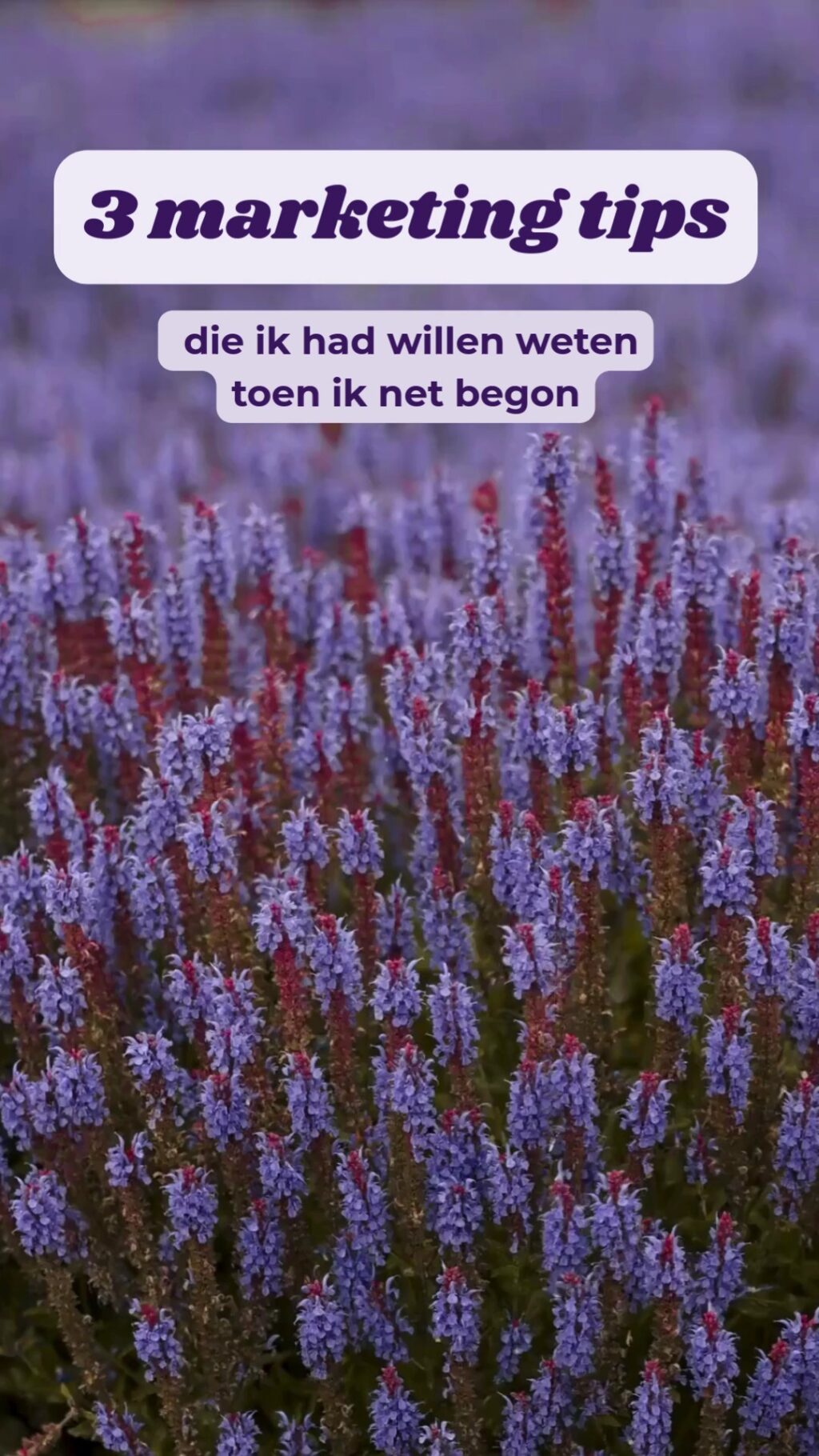 Instagram post from beloved.growth.marketing. This post is in position 0.