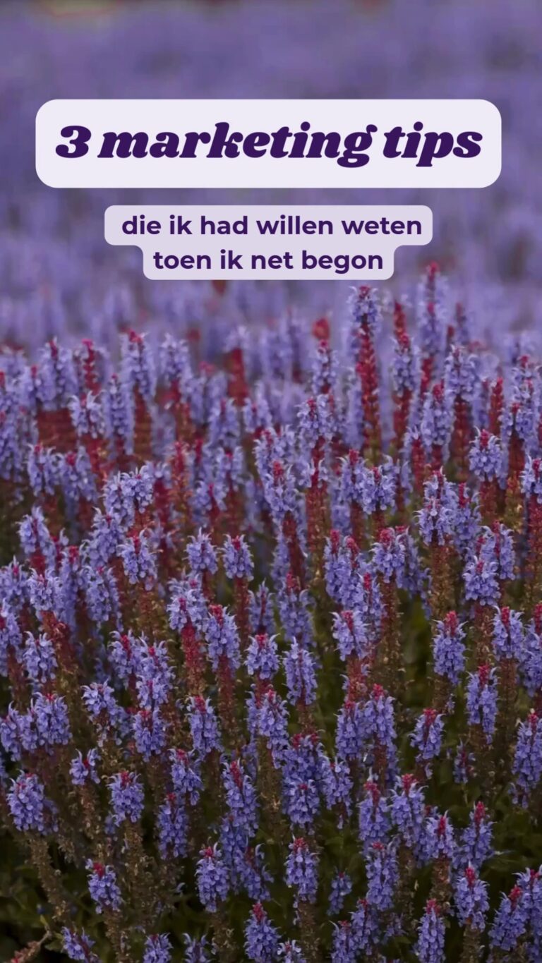 Instagram post from beloved.growth.marketing. This post is in position 1.